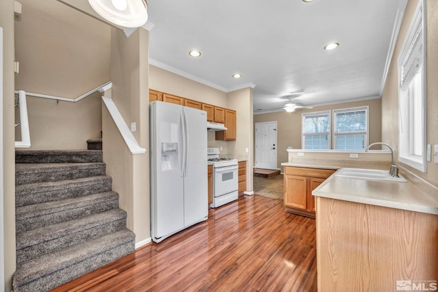 kitchen featuring ceiling fan, sink, crown molding, white appliances, and hardwood / wood-style flooring