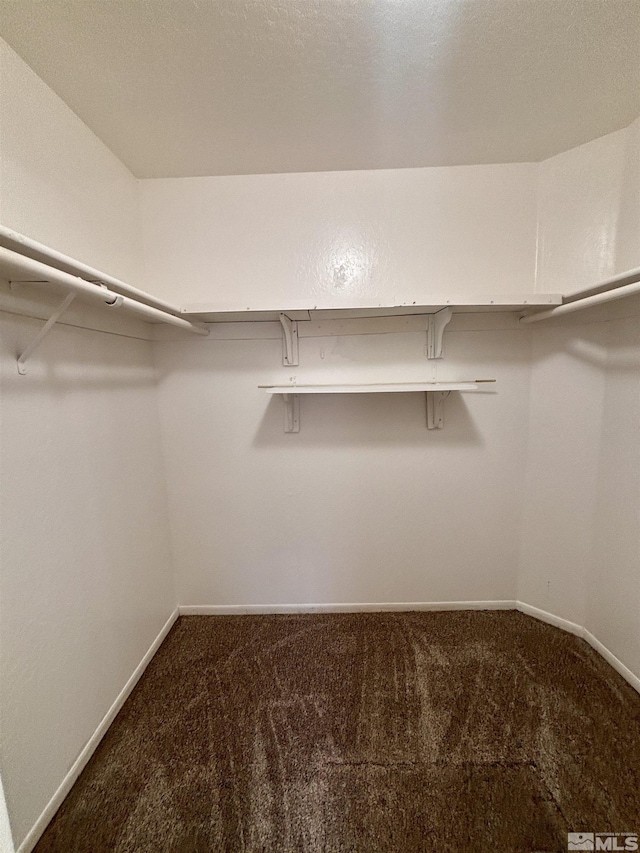 walk in closet with carpet