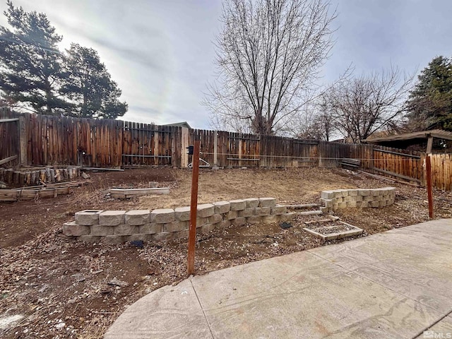 view of yard featuring a patio area