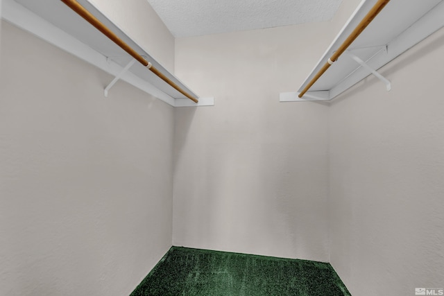 spacious closet with carpet flooring