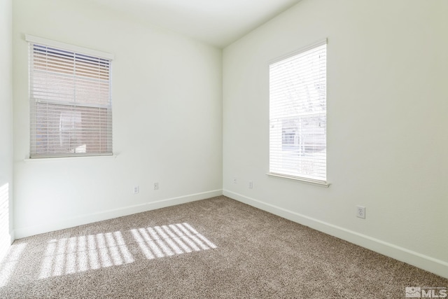 spare room featuring carpet flooring and a wealth of natural light