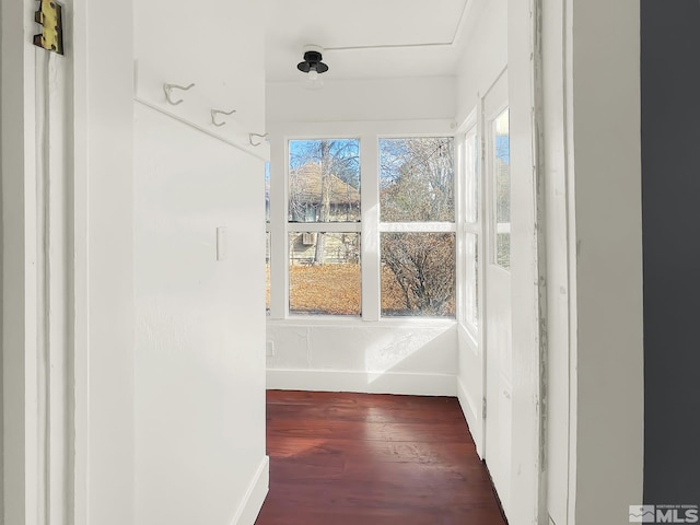 interior space with dark hardwood / wood-style floors and plenty of natural light