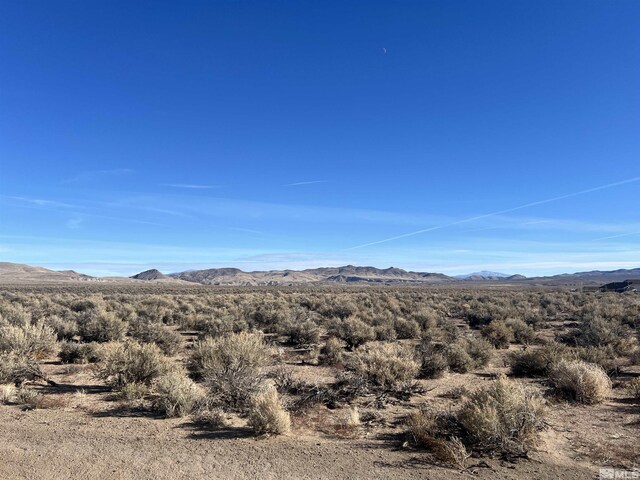 274 Mount Grant, Smith NV, 89430 land for sale