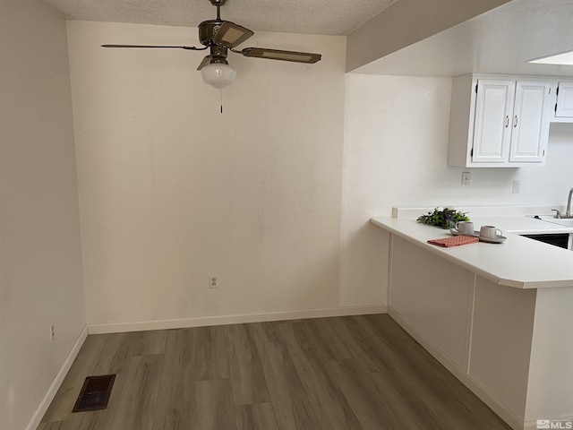 interior space featuring a textured ceiling, ceiling fan, sink, and wood-type flooring