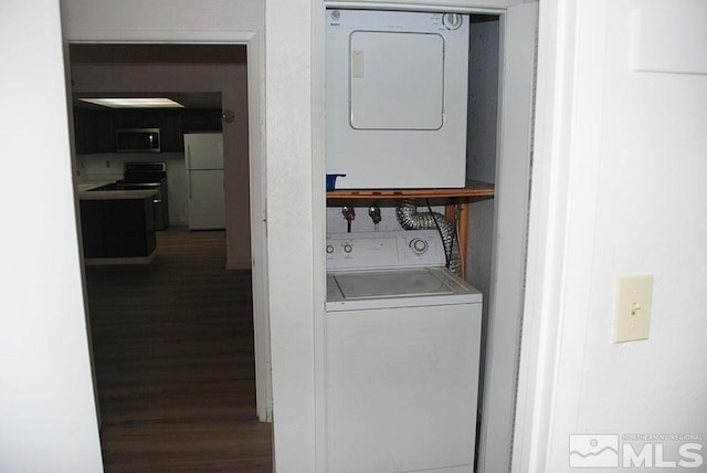 clothes washing area featuring wood-type flooring