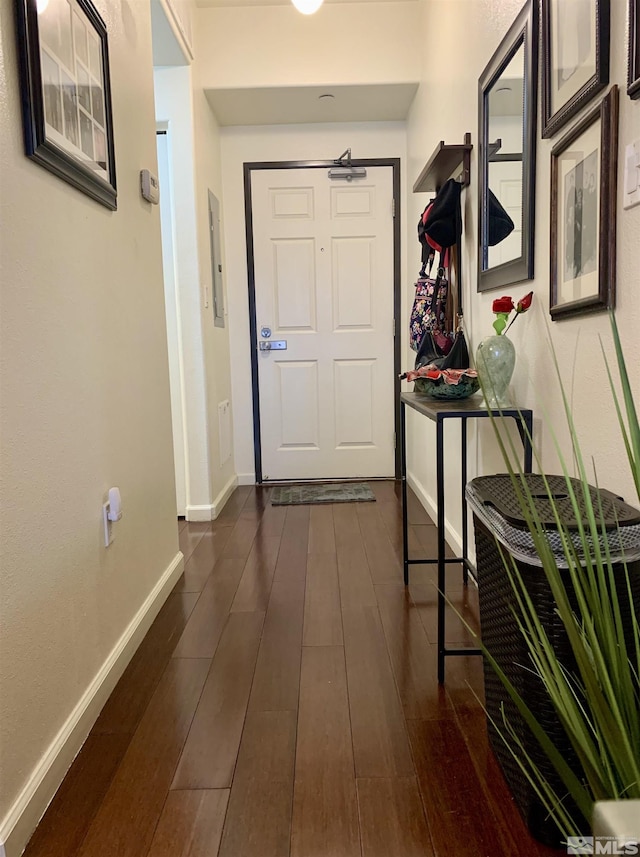 hallway with dark hardwood / wood-style flooring and electric panel