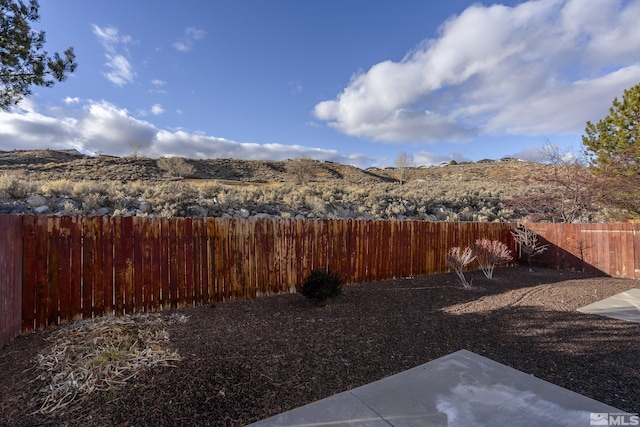 view of yard with a patio area