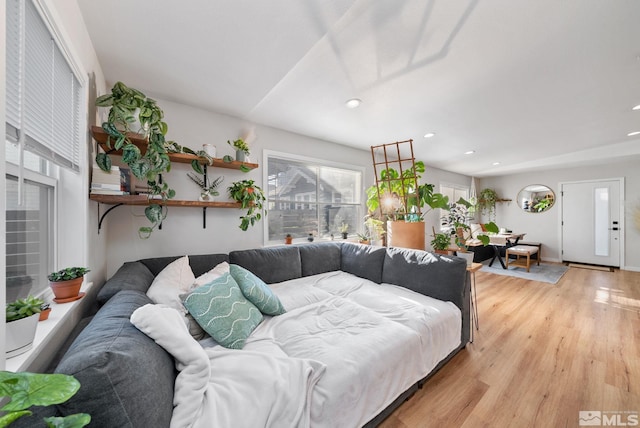 living room featuring light hardwood / wood-style floors