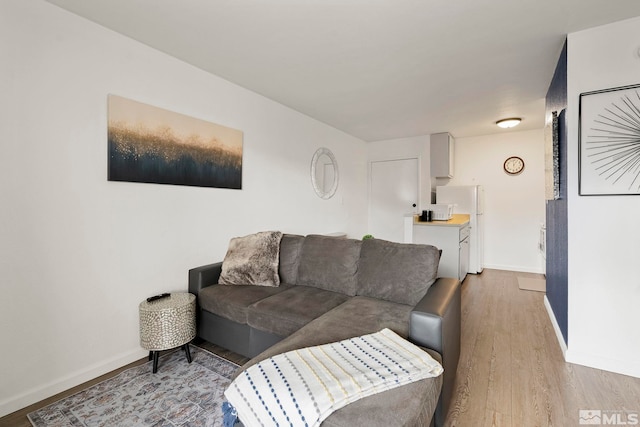 living room with light wood-type flooring