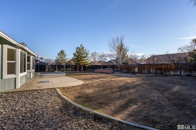 view of yard featuring a patio