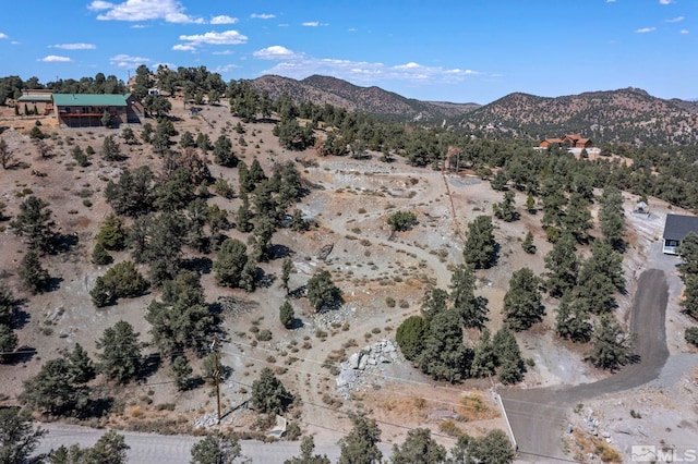 Listing photo 3 for 21490 Sazarac Rd, Reno NV 89521