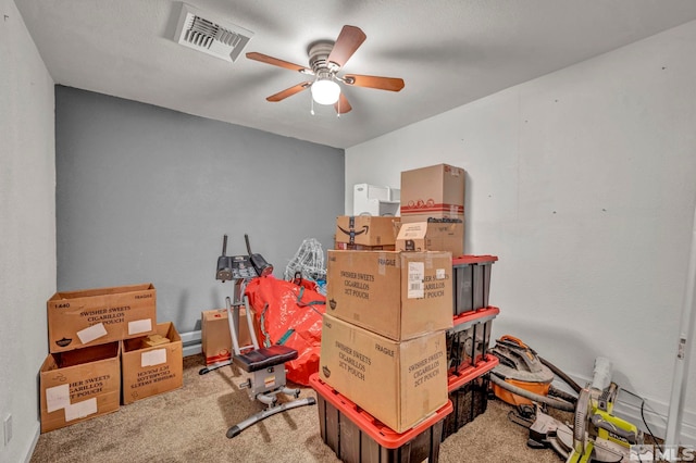 storage featuring ceiling fan