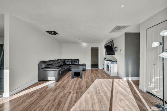 living room featuring wood-type flooring