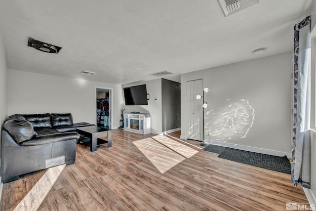 living room with hardwood / wood-style flooring