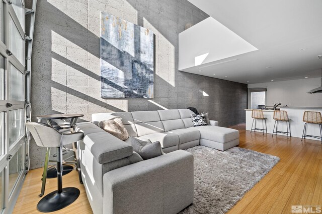 living room featuring light hardwood / wood-style flooring and a wealth of natural light