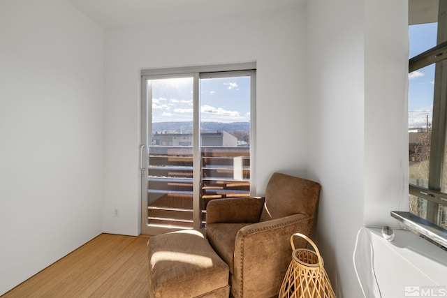 living area with light hardwood / wood-style floors