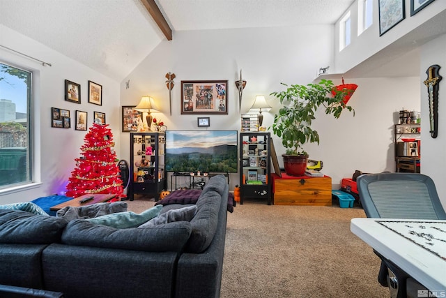 living room with carpet, lofted ceiling with beams, and a textured ceiling