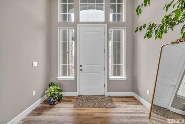 entrance foyer with baseboards and wood finished floors