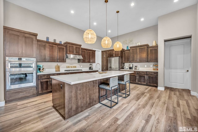 kitchen with light wood-type flooring, under cabinet range hood, a sink, appliances with stainless steel finishes, and a towering ceiling