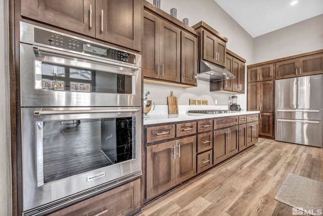 kitchen with under cabinet range hood, appliances with stainless steel finishes, light countertops, and light wood-style floors