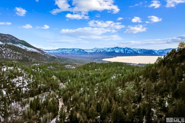 property view of mountains