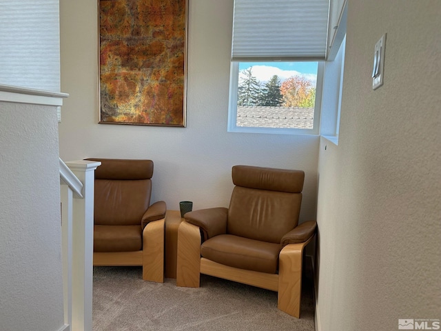 sitting room featuring carpet flooring