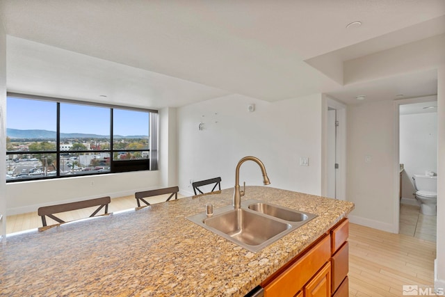 kitchen featuring a mountain view, light hardwood / wood-style floors, light stone counters, and sink