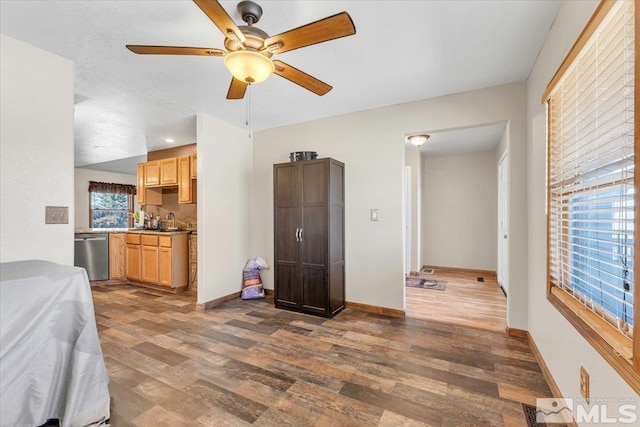 interior space with ceiling fan, sink, and dark hardwood / wood-style floors