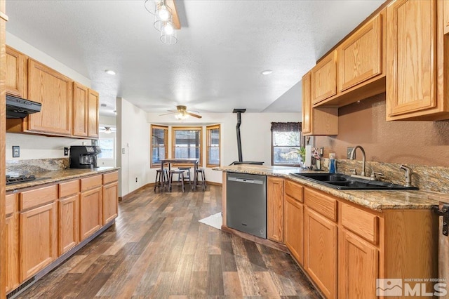 kitchen with dark wood-type flooring, sink, ceiling fan, a textured ceiling, and stainless steel appliances