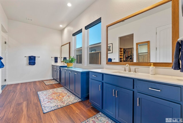 bathroom with hardwood / wood-style floors and vanity