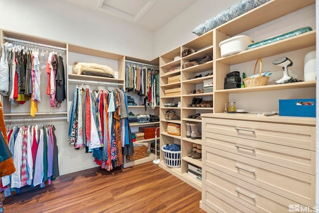 walk in closet with hardwood / wood-style floors