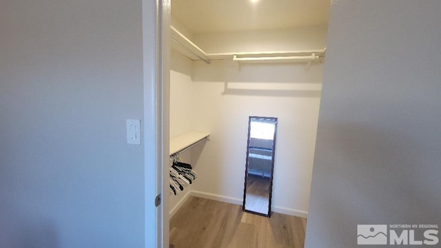 walk in closet featuring light wood-type flooring