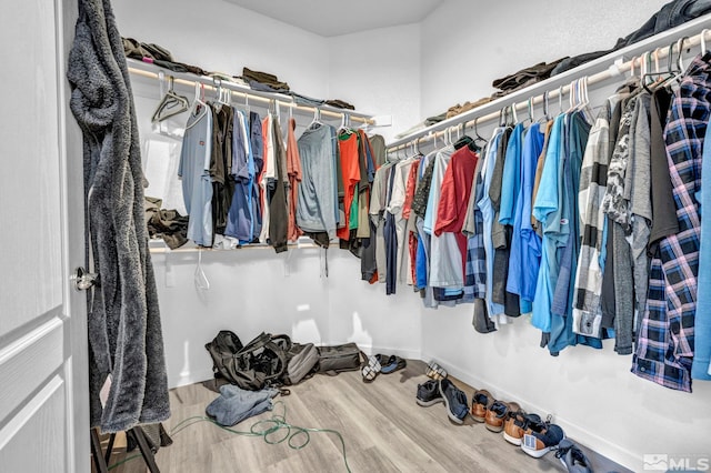 spacious closet featuring hardwood / wood-style flooring