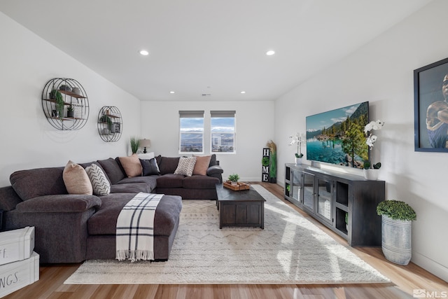 living room featuring light hardwood / wood-style flooring