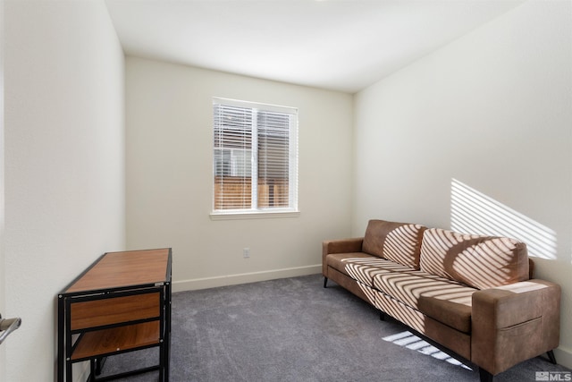 sitting room with dark colored carpet