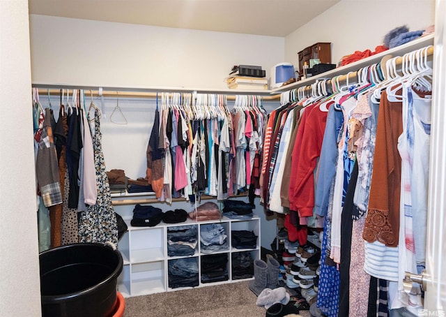 spacious closet featuring carpet flooring