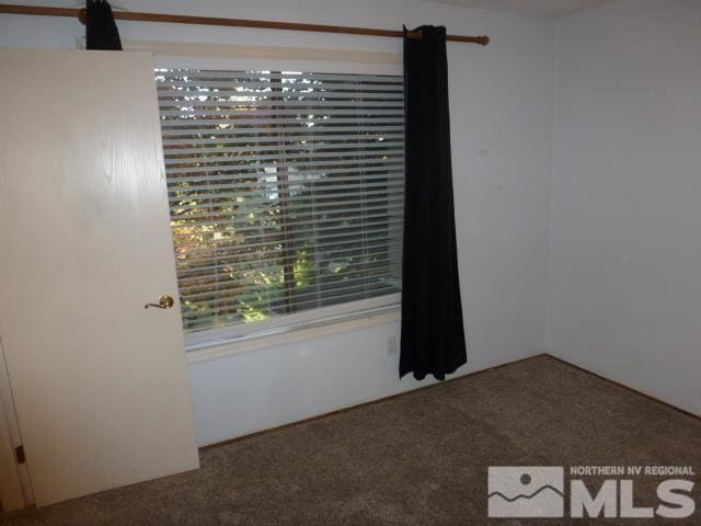 unfurnished room with carpet floors