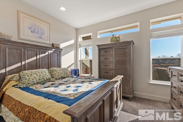 carpeted bedroom with multiple windows