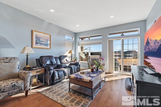 living room with wood-type flooring