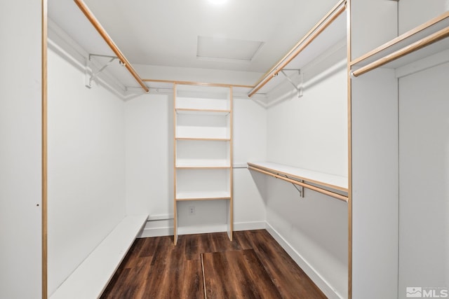 spacious closet featuring dark hardwood / wood-style flooring