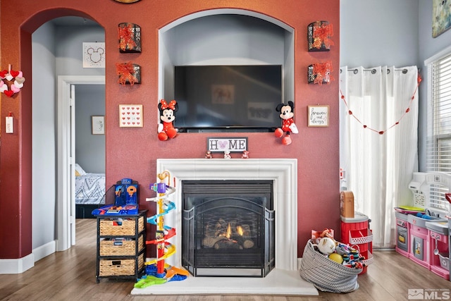 living room featuring hardwood / wood-style flooring