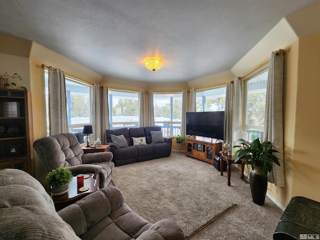 living room featuring carpet floors and a textured ceiling