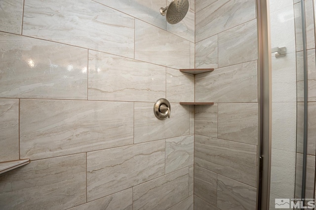 room details with tiled shower