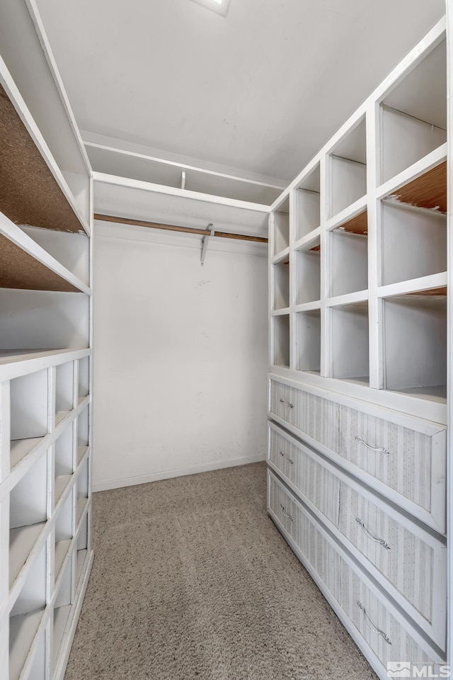 walk in closet featuring carpet floors