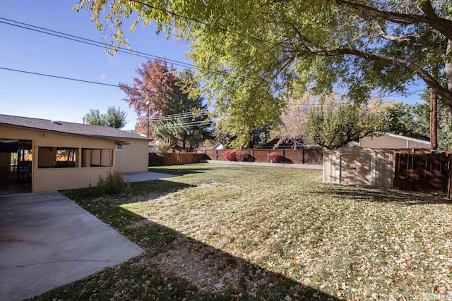 view of yard featuring a patio area