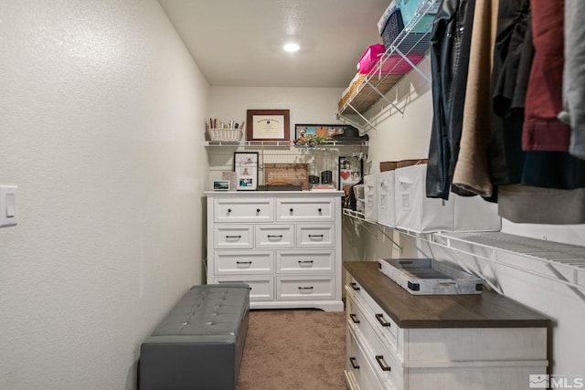 spacious closet with dark carpet