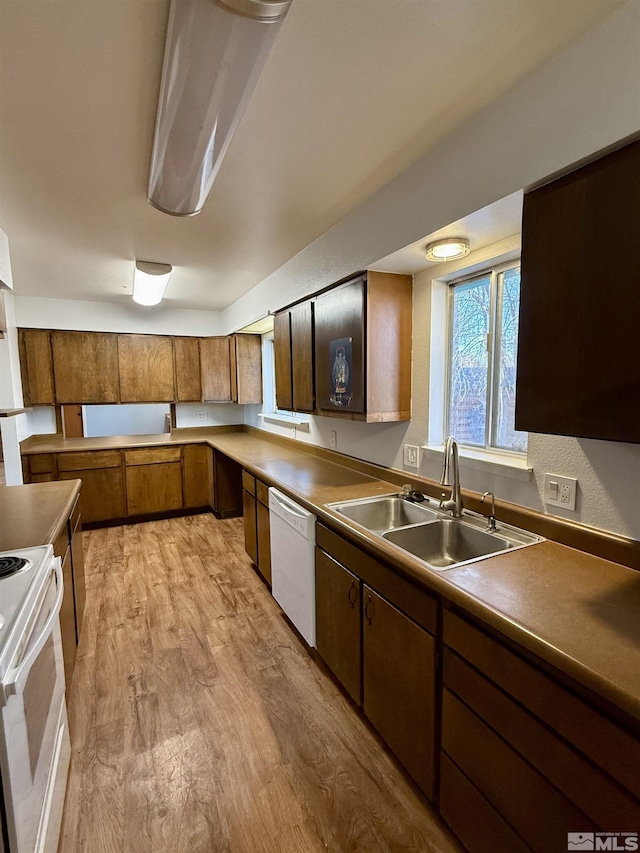 kitchen with white appliances, light wood-type flooring, and sink