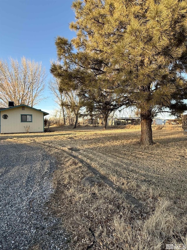 view of yard with a rural view