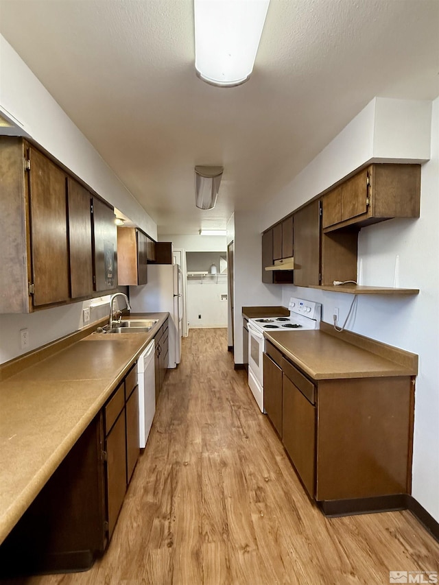 kitchen featuring white appliances, light hardwood / wood-style flooring, sink, and dark brown cabinetry