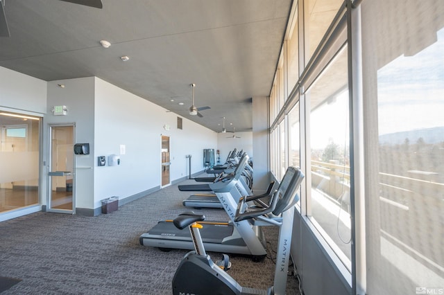 gym featuring ceiling fan and carpet